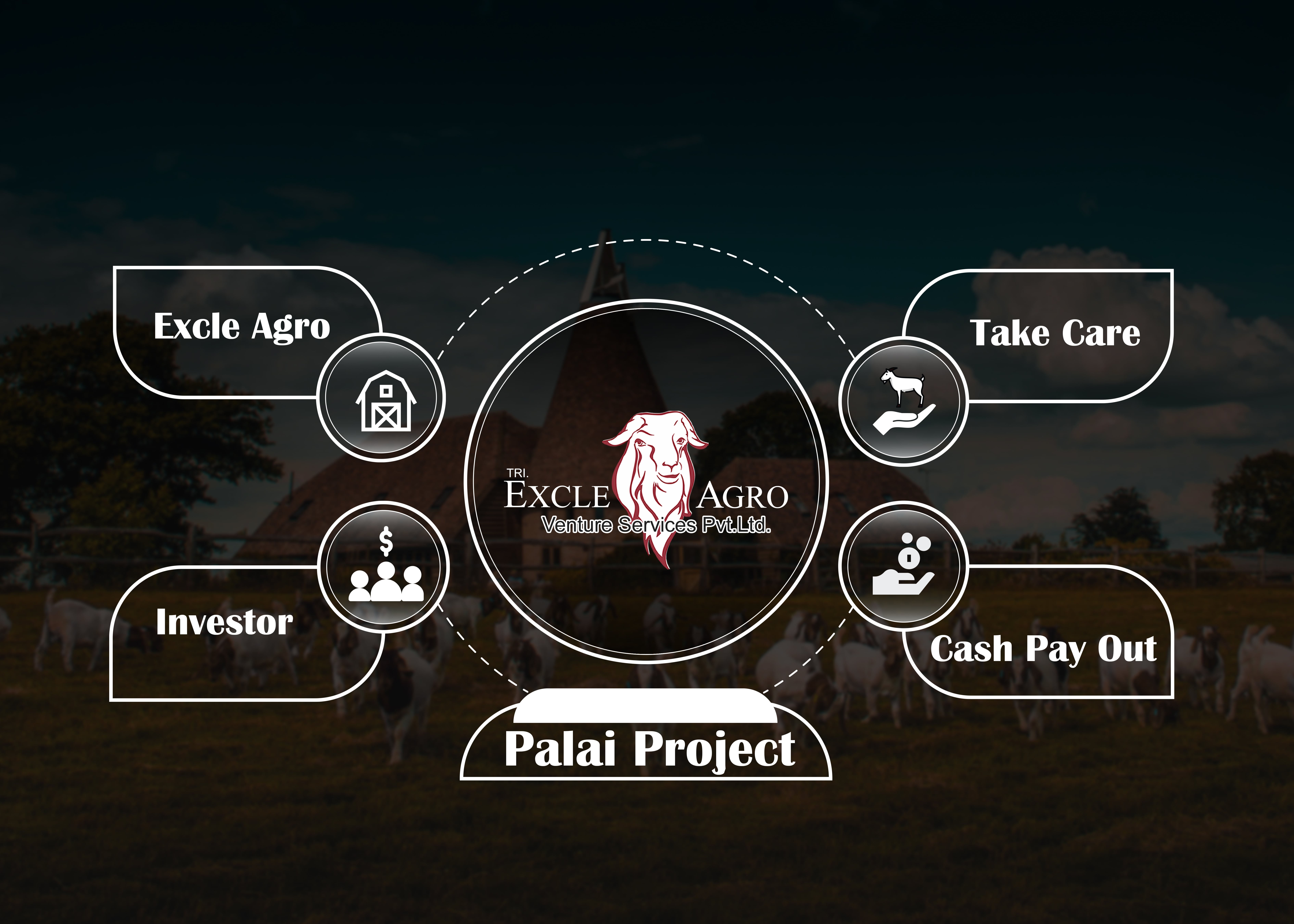Palai Project